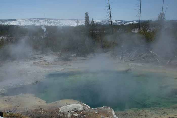 Hot Pool, Yellowstone National Park