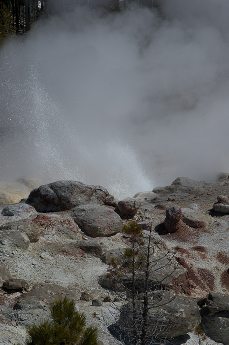 Geyser, Yellowstone National Park