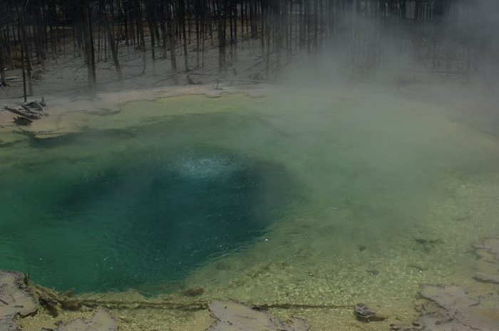 Hot Pool, Yellowstone National Park