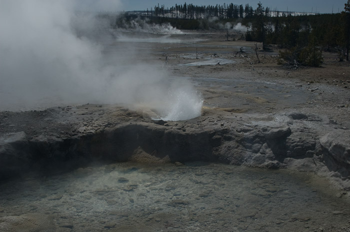 Geyser, Yellowstone National Park
