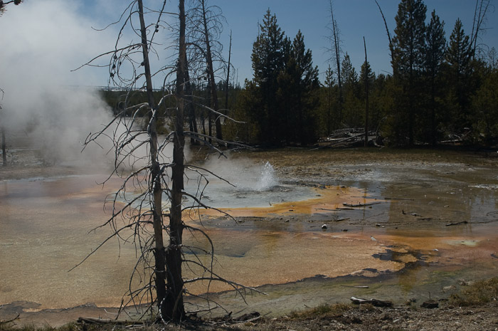 Hot Pool, Yellowstone National Park