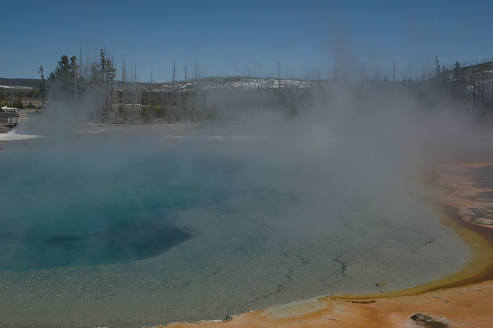 Hot Pool, Yellowstone National Park