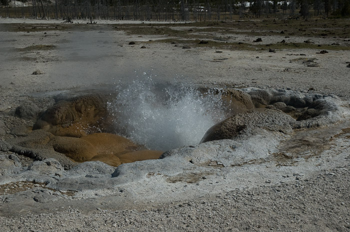 Geyser, Yellowstone National Park
