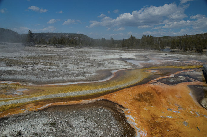 Algae Mat in thermal runoff, Yellowstone National Park