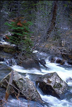 Rock at Hidden Falls