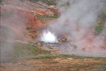 Geyser At Artist Pain Pots