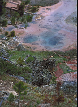 Pools at Artist Paint Pots