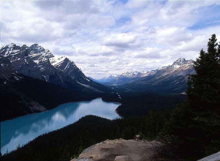  Peyto Lake 