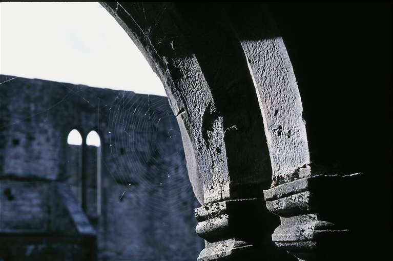  Sligo Abbey 