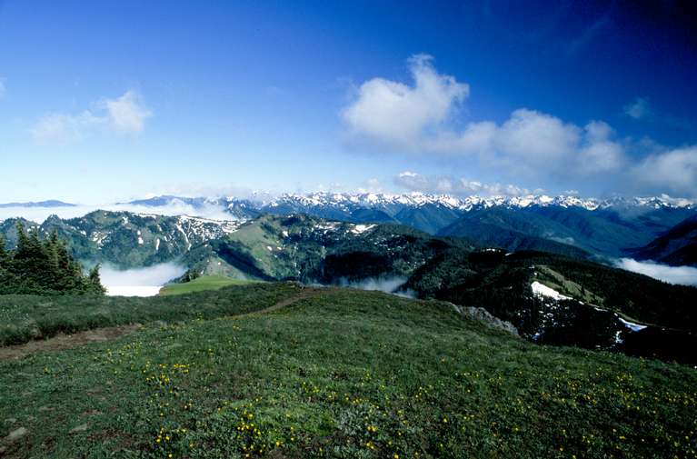  View from Hurricane Hill 