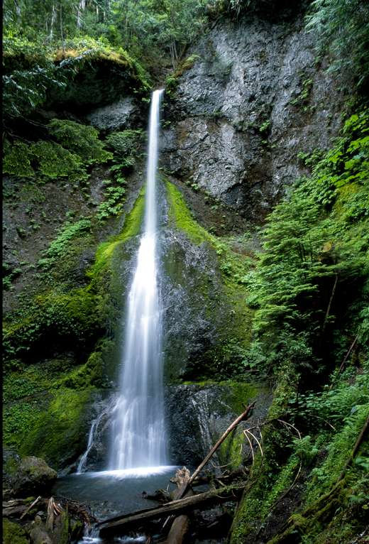  Marymere Falls 