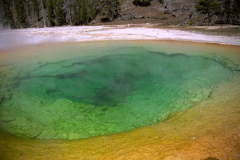  YNP_Pools_0010 