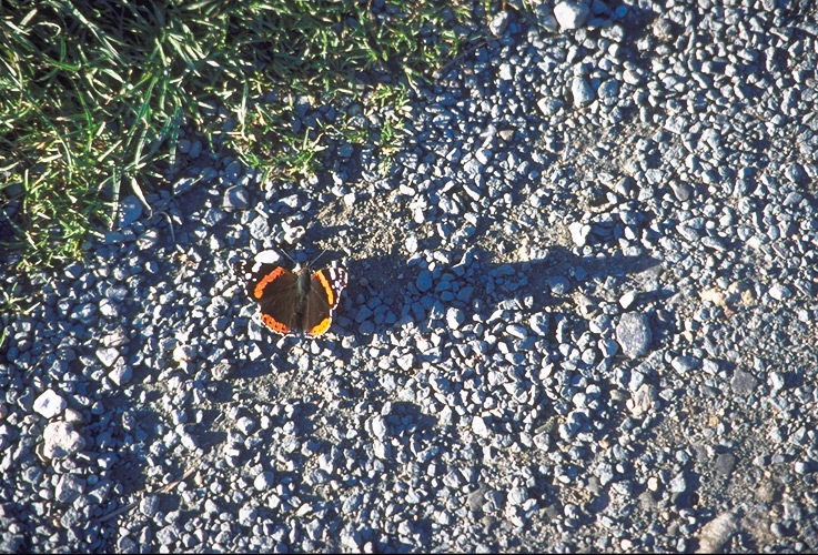  img033 