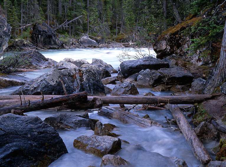  Convergence of the Rivers 