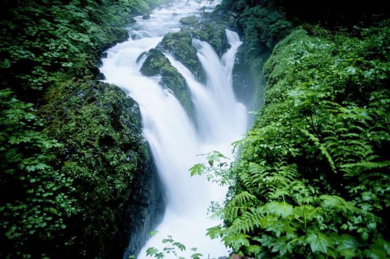  Sol Duc Falls 