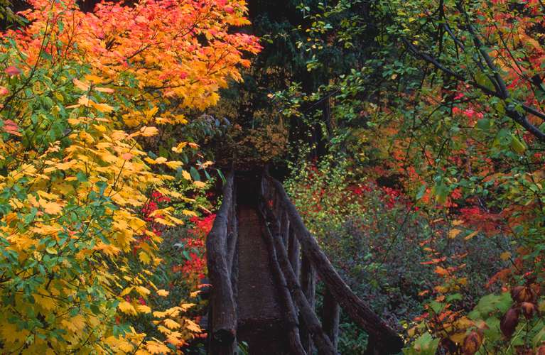  Bridge over the McKenzie River 