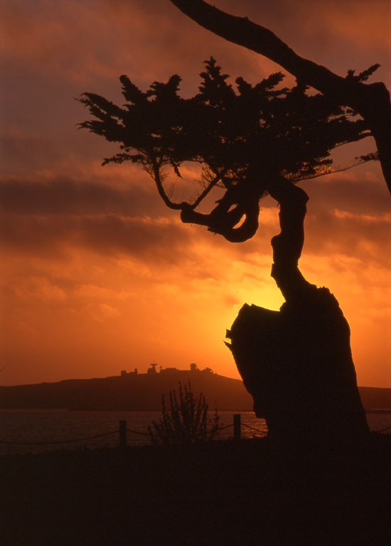  Half Moon Bay Sunset 